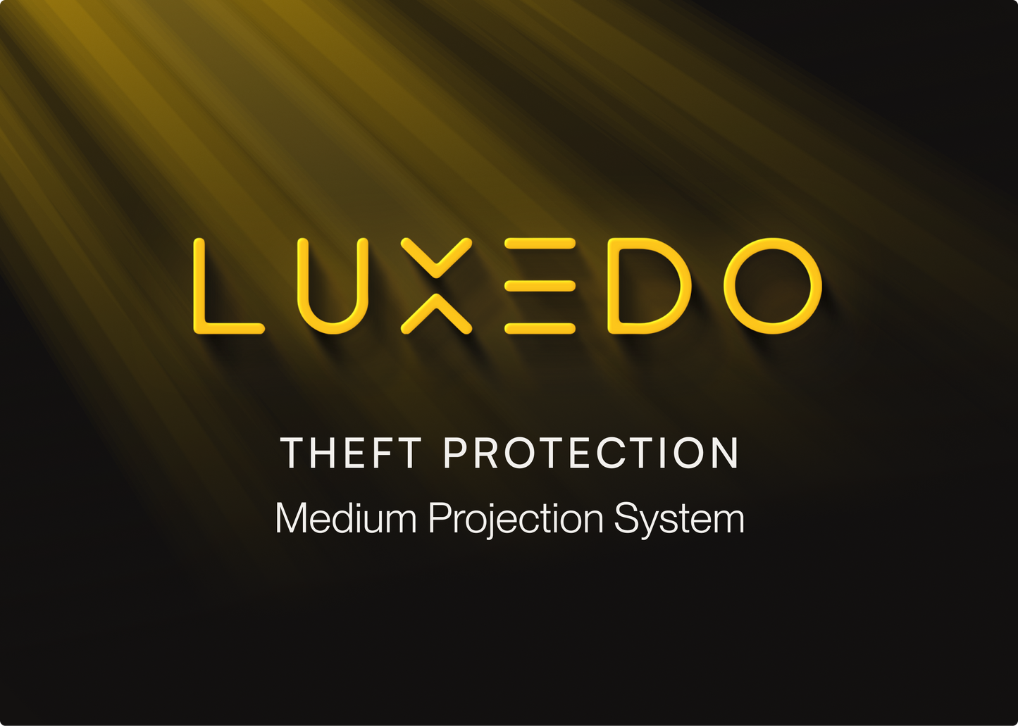 Theft Insurance 6000 Lumen